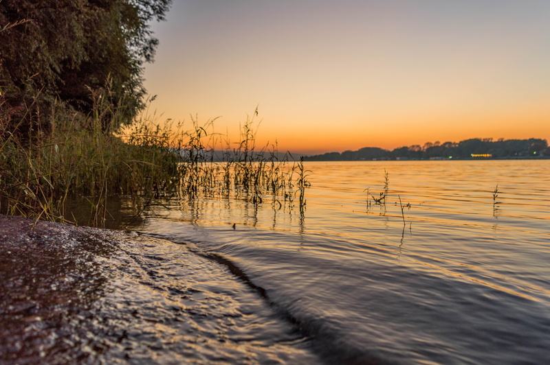 lake, dusk, 5K, tree, scenics - nature, tranquil scene, landscape, beauty in nature, river, europe, novi sad, danube, summer, orange color, beach, outdoors sunset