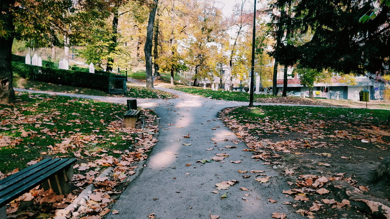 fall, plant, no people, park, trees, outdoors, walkday, leaves, park - man made space, tree, nature, 4K, architecture, footpath, the way forward, autumn
