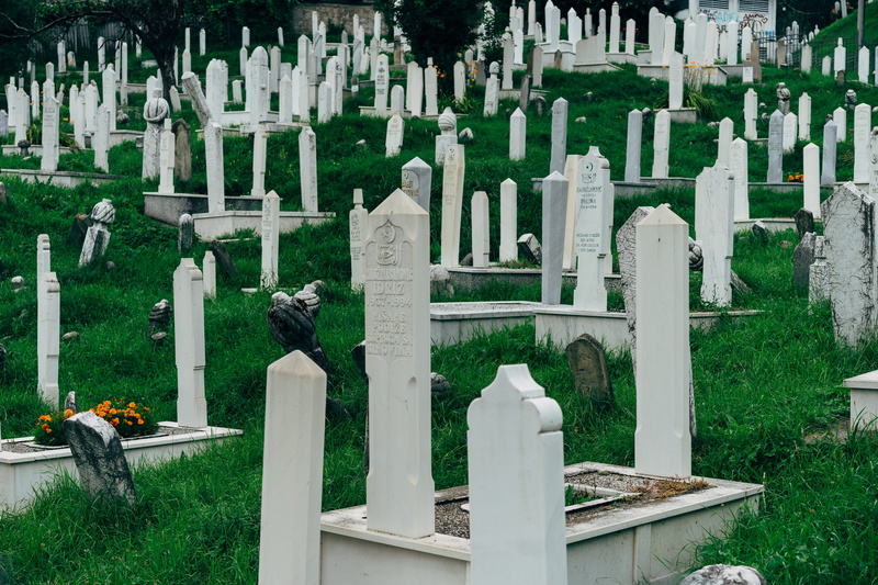 green, grave, no people, animal themes, war, outdoors, bosnia, architecture, cemetery, nature, death, white, headstone, gravestone, animal, bosnia and herzegovina