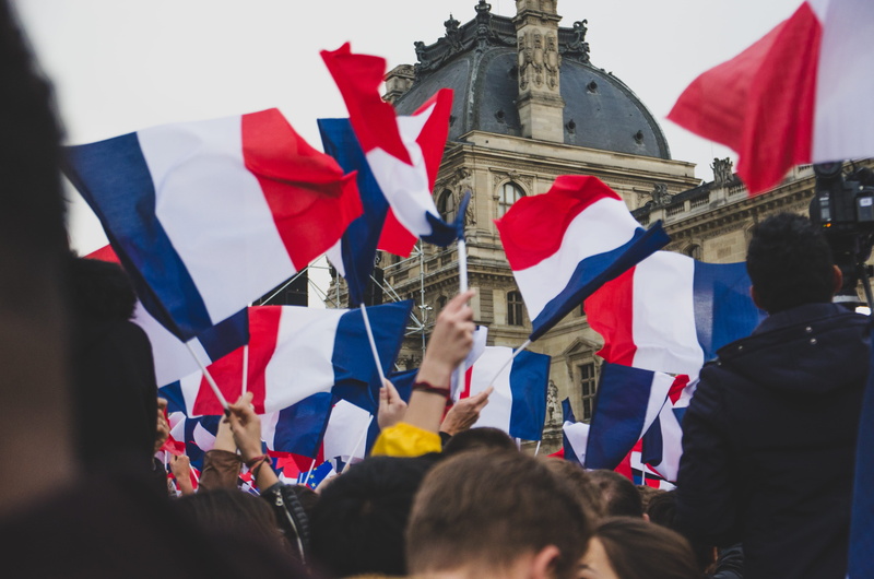 day, group of people, march, flag, sky, audience, nature, government, patriotism, human, patriot, outdoors, rear view, france, protest, person, real people