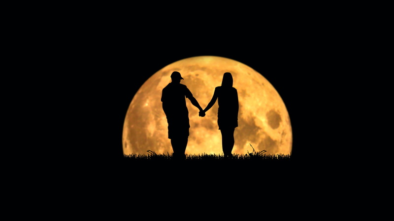 Moonlovers, cloud - sky, side view, nature, full moon, men, people, the moon, adult, full length, back lit, animal wildlife, copy space, two people, pair