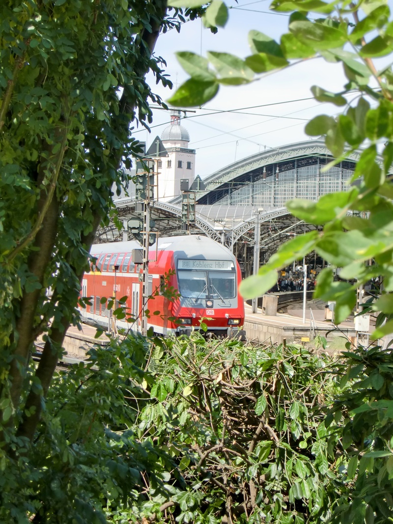 no people, public means of transport, steel structure, railroad track, travel, train, railway, 2K, central station, station roof, railway station, tree