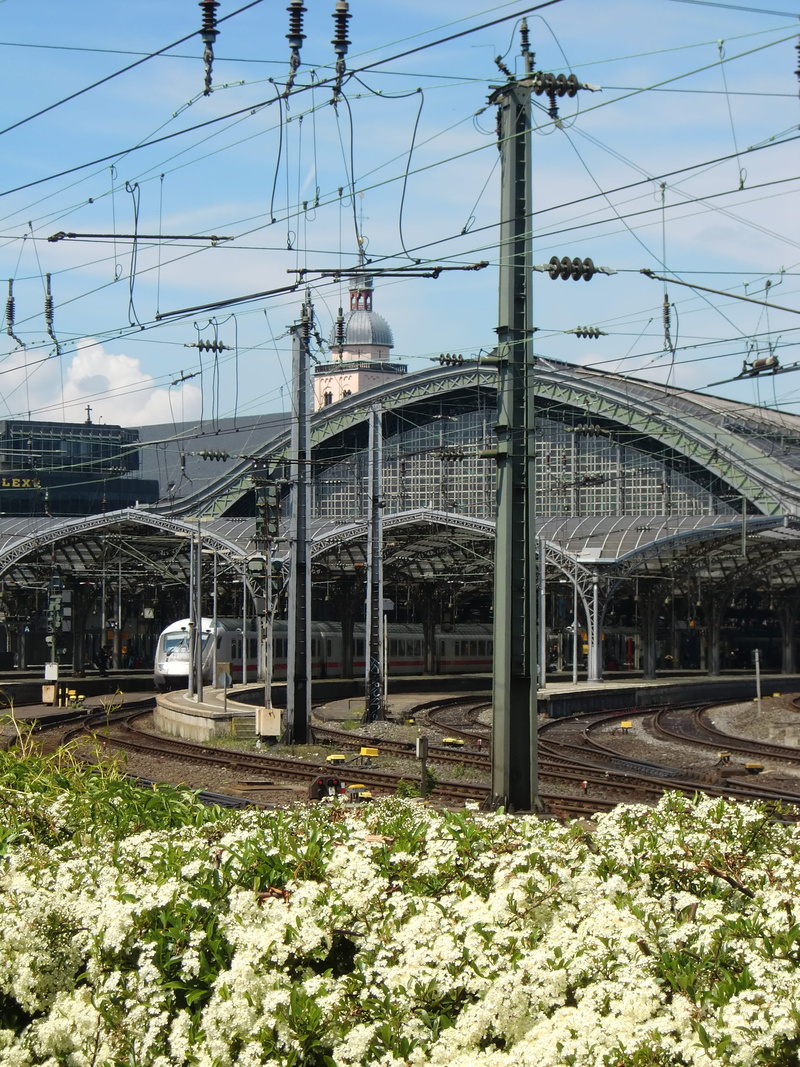 cable, cologne, cologne main station, catenary, public transportation, rail transportation, connection, mode of transportation, bridge - man made structure