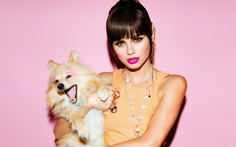 xenia deli pomeranian, 1080P
