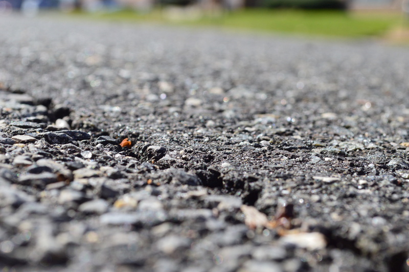 surface, crack, dirt, road, animal themes, animal wildlife, 5K, surface level, ground, broken, outdoors, insect, asphalt, animal, invertebrate, animals in the wild