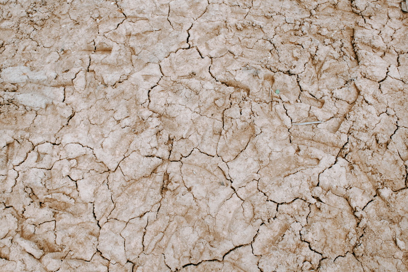 cracks, paoy paet, mud, backgrounds, scenics - nature, environment, day, close-up, textured, krong poi pet, land, abstract backgrounds, dirt road, terrain