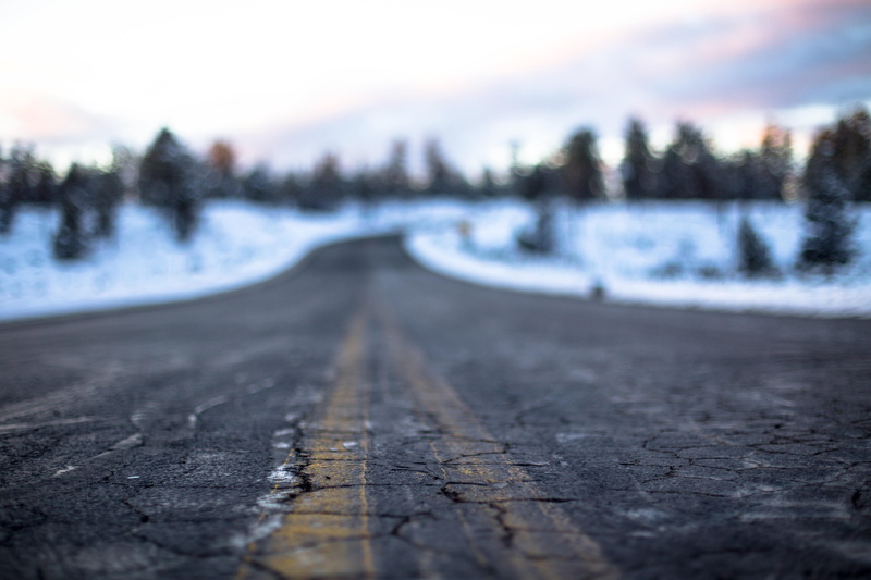 the way forward, plant, frozen, tranquility, snow, closeup, landscape, sky, 5K, cold temperature, cold, surface level, ice, gray, tree, road, depth of field