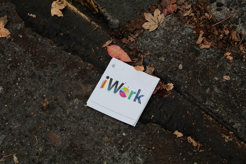leaves, artwork, dirt, dry leaves, high angle view, soil, no people, white, 5K, paper, nature, footpath, street, land, floor, asphalt, rustic, still life