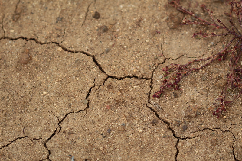 outdoors, macro, backgrounds, environment, brown, textured, macro photo, pattern, environmental issues, walkway, czechia, crack, extreme terrain, nature