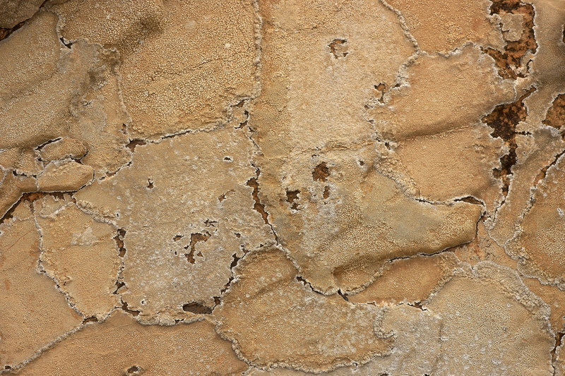 textured effect, lichen, built structure, crack, textured, no people, microscope, old, brown, macro, damaged, desolate, full frame, close-up, sand, ground