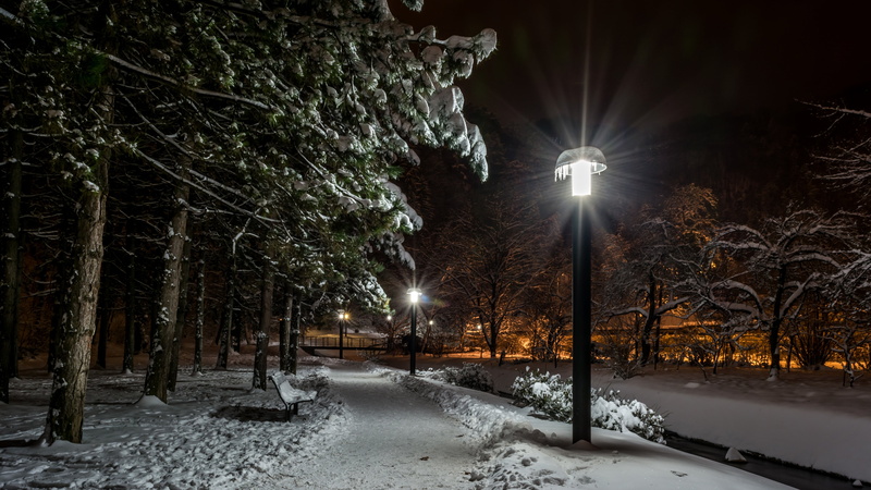 tree, illuminated, lights, covered, lighting equipment, extreme weather, nature, no people, blizzard, plant, street, city, winter, Croatia, tranquility
