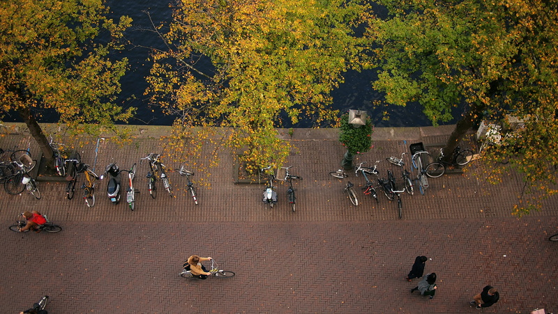 large group of people, men, from above, outdoors, transportation, europe, tree, window view, herfst, nature, above, netherlands, women, bikes, architecture