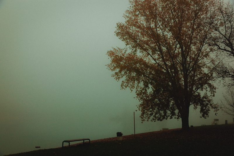 low angle view, scenics - nature, growth, tranquil scene, land, non-urban scene, plant, lake, water, forest, no people, croatia, nature, zagreb, fall, moody