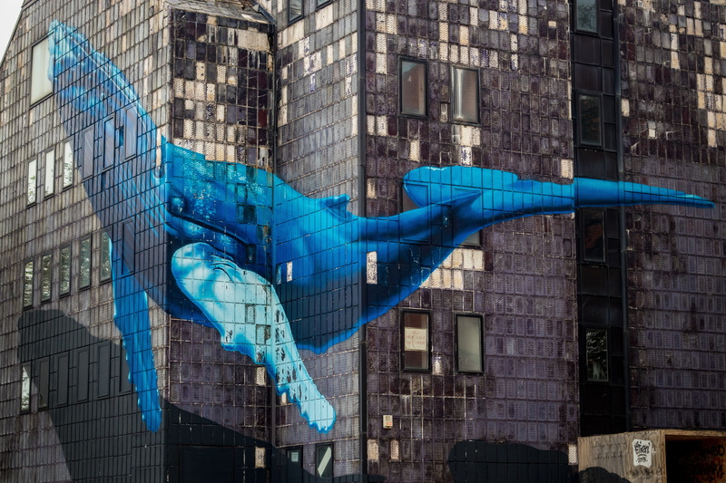 creative, wall - building feature, architecture, artistic, day, no people, 5K, creativity, building, design, whale, outdoors, street art, glass - material