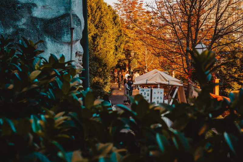 leaf, autumn, built structure, day, architecture, building exterior, tree, croatia, orange color, zagreb, focus on background, plant part, selective focus