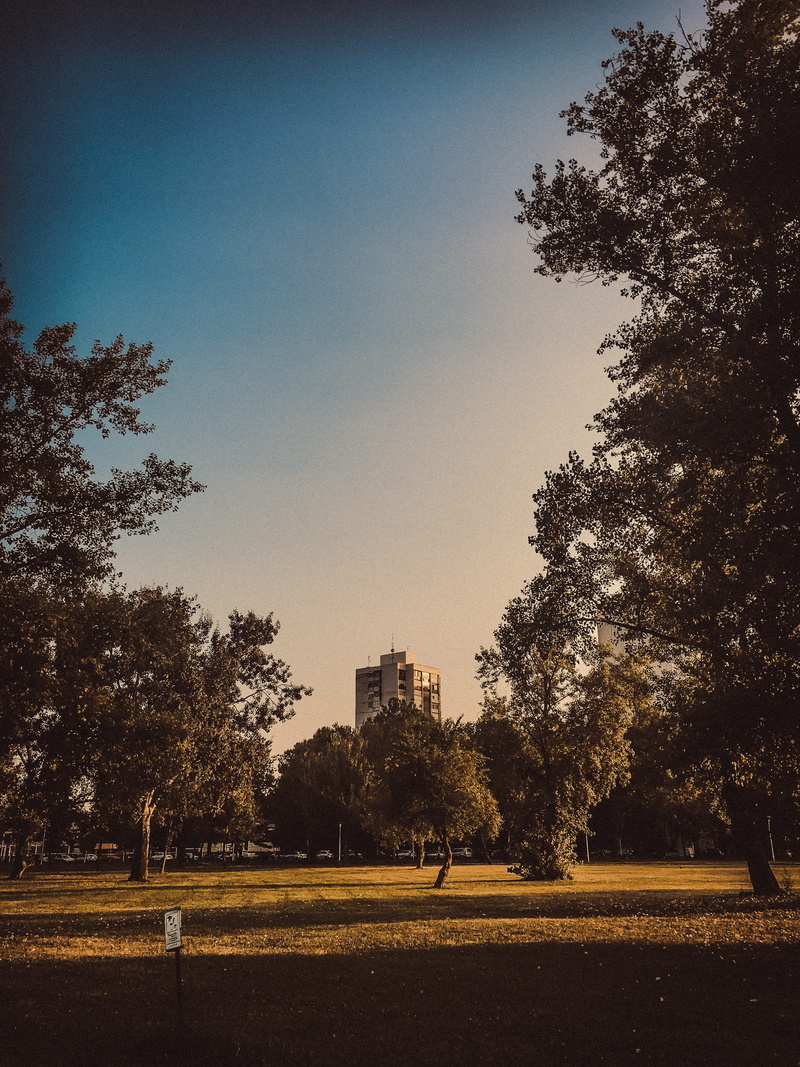 plant, no people, building, park - man made space, sky, building exterior, nature, outdoors, built structure, city, clear sky, travel destinations, the past