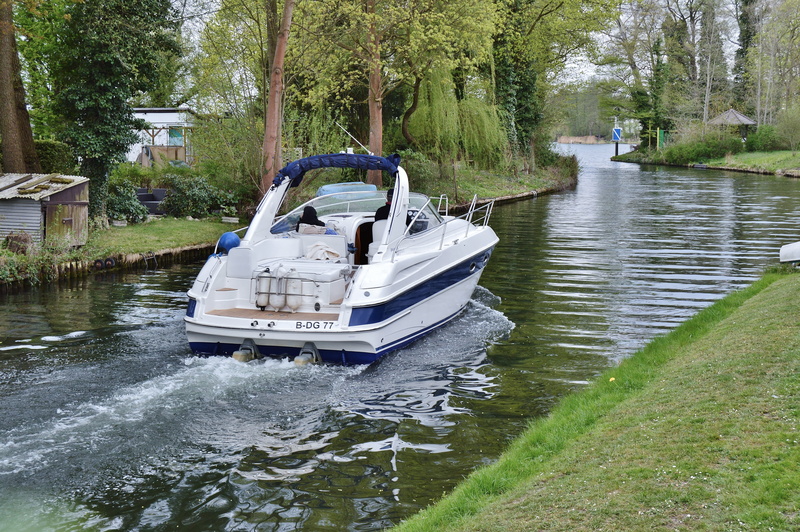 plant, brandenburg, day, fast, to werlsee, transportation, outdoors, channel, growth, nature, powerboat, motorboat, germany, cabin boat, mode of transportation