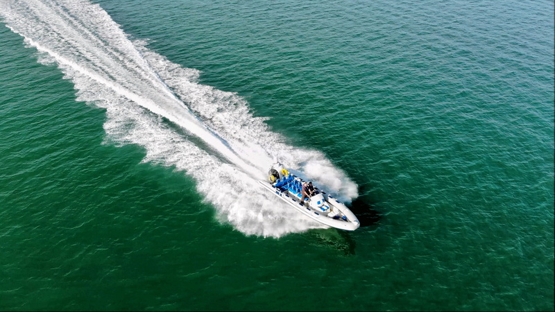 boat, wake - water, day, race, high angle view, speed, powerboat, motion, nautical vessel, wave, speed boat, fast boat, transportation, leisure activity