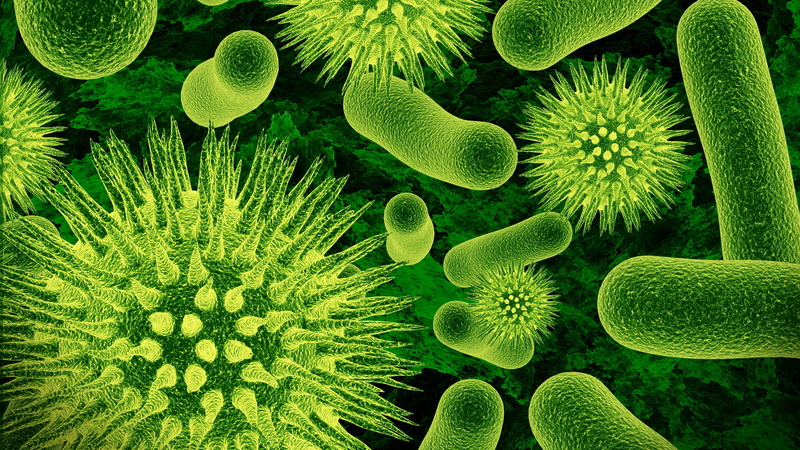 green, virus, 4K, expanded