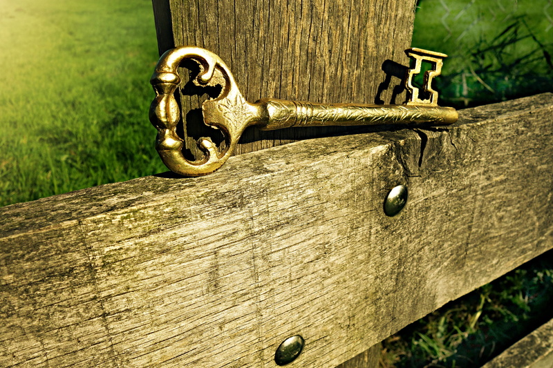 gold, security, protection, old-fashioned, safety, no people, gold colored, 4K, wood, focus on foreground, golden key, locked, old, textured, focus, plant