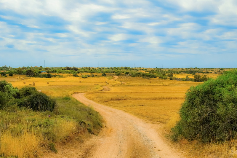 sky, panoramic, road, landscape, outdoors, beauty in nature, country, rural, scenics - nature, dirt road, spring, countryside, tree, nature, scenery, tranquility