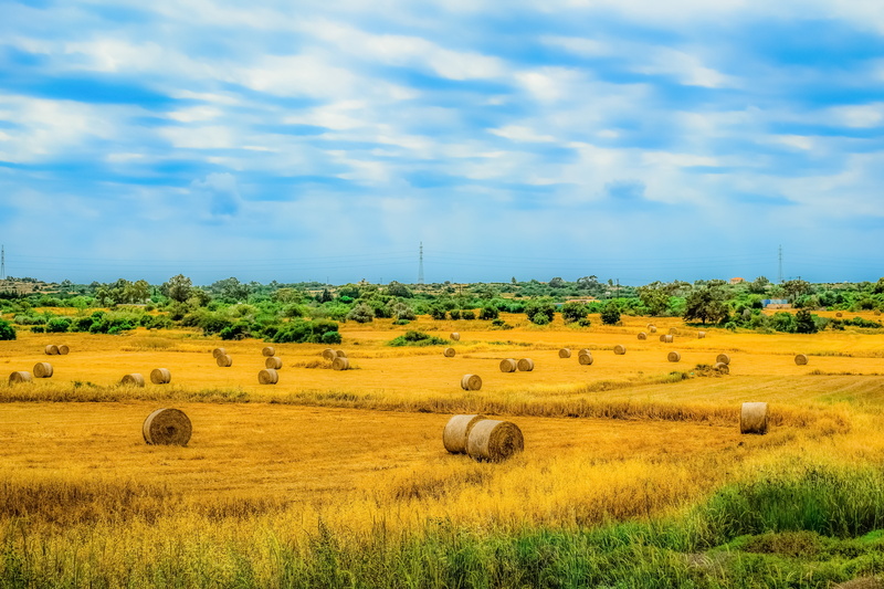 field, hayfield, no people, day, scenics - nature, sky, tranquility, bale, 5K, land, landscape, tranquil scene, grass, agriculture, spring, outdoors, clouds