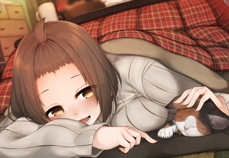 com, konachan, cat, blush, hair, brown, waterdog, eyes, 720P, short, animal, 253529, kotatsu, original