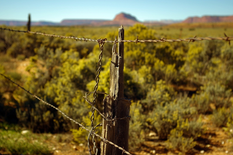 demarcation, barbed, utah, barbed wire, wire, staircase, focus on foreground, barbwire, day, grand, fence, 2K, property, land, barrier, rural scene, rusty