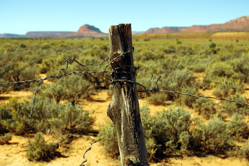 rock, rustic, barbed, post, environment, fencing, wooden post, outdoors, barrier, 5K, sand, monument, day, focus on foreground, nature, tranquility, plant