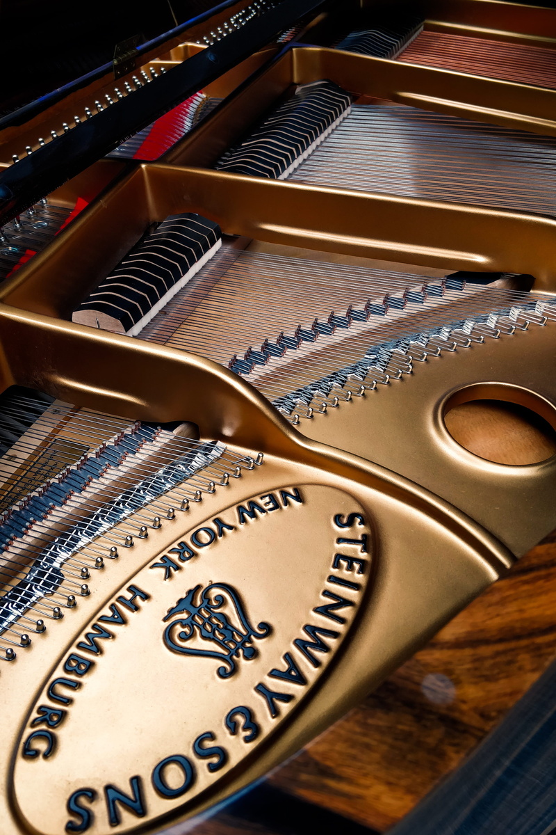 close-up, music, food, treasure, reel, keyboard, fruit, harp, 4K, guitar, string, musical instrument, cosmetics, creativity, high angle view, wood - material