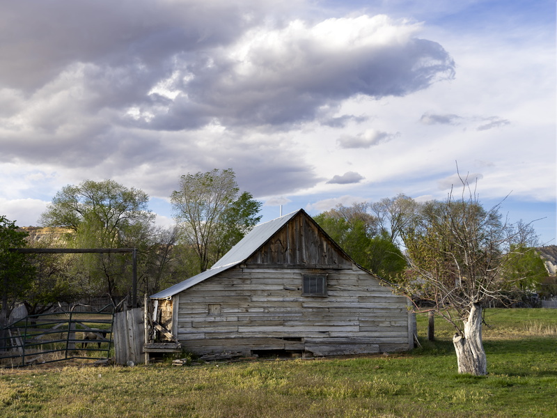 state route 12, landscape, spring, apple tree, built structure, henrieville, garfield county, agricultural building, day, growth, building exterior, field