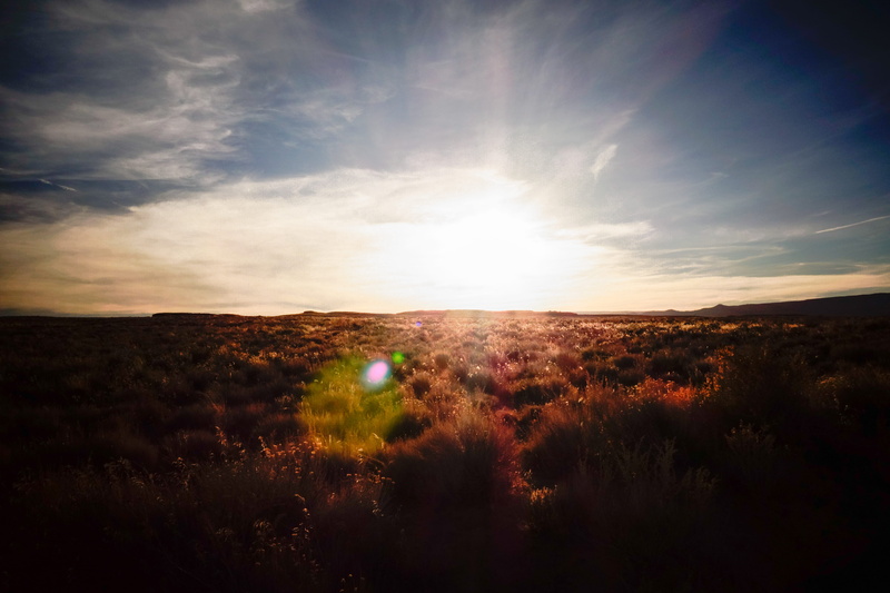 lens flare, plant, grass, sunbeam, land, bright, environment, non-urban scene, idyllic, tranquility, sunset, sky, cloud - sky, scenics - nature, kanab