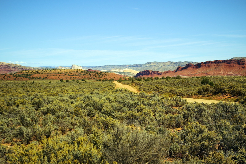 escalante, plant, road, outdoors, travel, desert, idyllic, earth, paria road, nature, growth, dirt, non-urban scene, day, sagebrush, staircase, environment