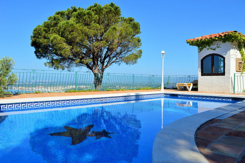 animal wildlife, pool, luxury, plant, animal themes, sun, view, poolside, villa, vertebrate, animals in the wild, sky, architecture, outdoors, no people
