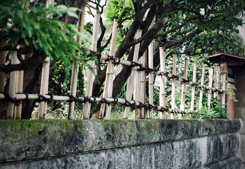 wooden, barrier, boundary, wall - building feature, bamboo, plant, metal, growth, built structure, architecture, nature, shed, daytime, fence, building
