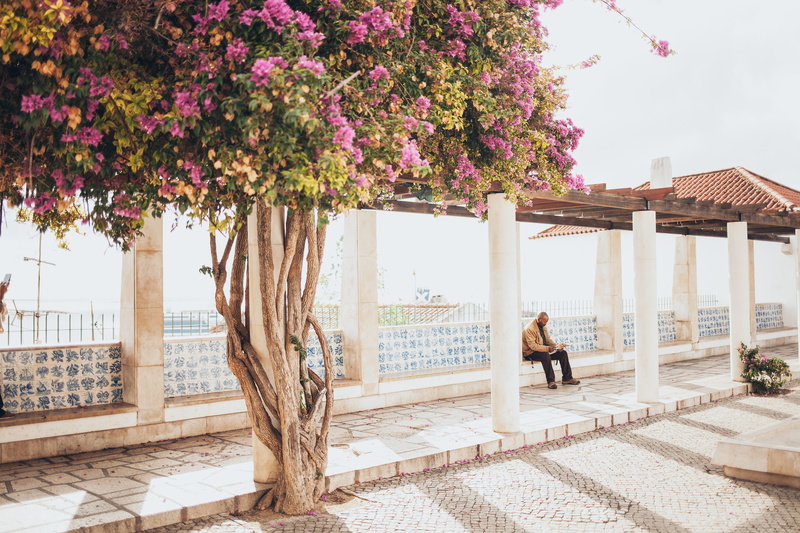 adult, summer, leisure, purple, sidewalk, flowers, beautiful, architectural column, tree, waiting, season, blossom, nature, growth, architecture, park