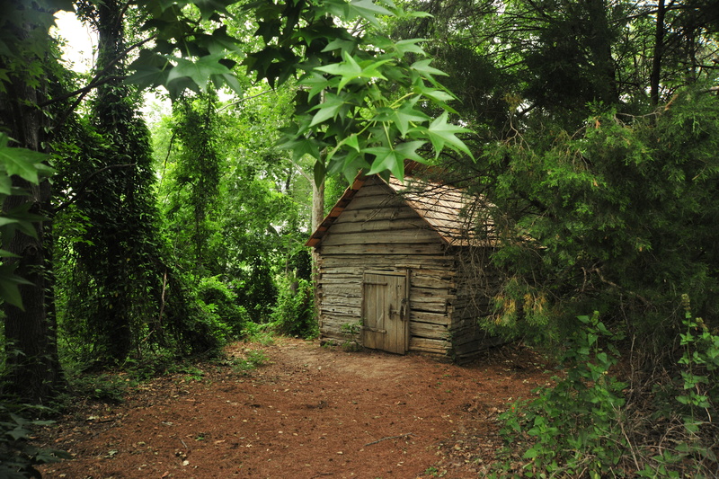 united states, hut, shed, san antonio, growth, tree, architecture, forest, beauty in nature, built structure, plant, building exterior, garden, green color