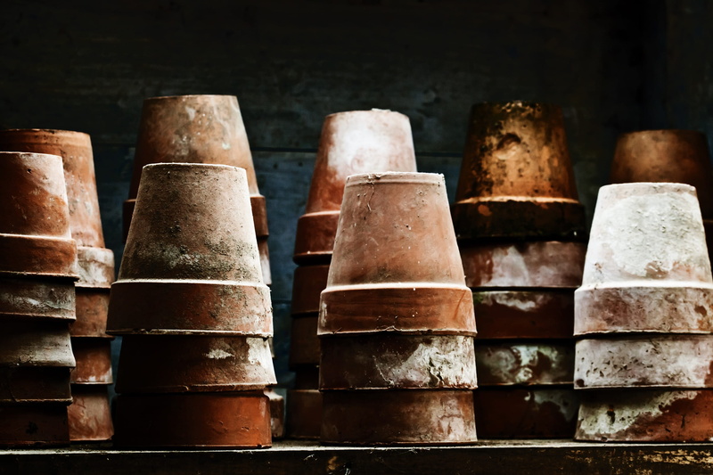 plant, order, container, close-up, flower, day, garden, large group of objects, piled, brown, vintage, grunge, in a row, brown clay, wood - material, focus on foreground
