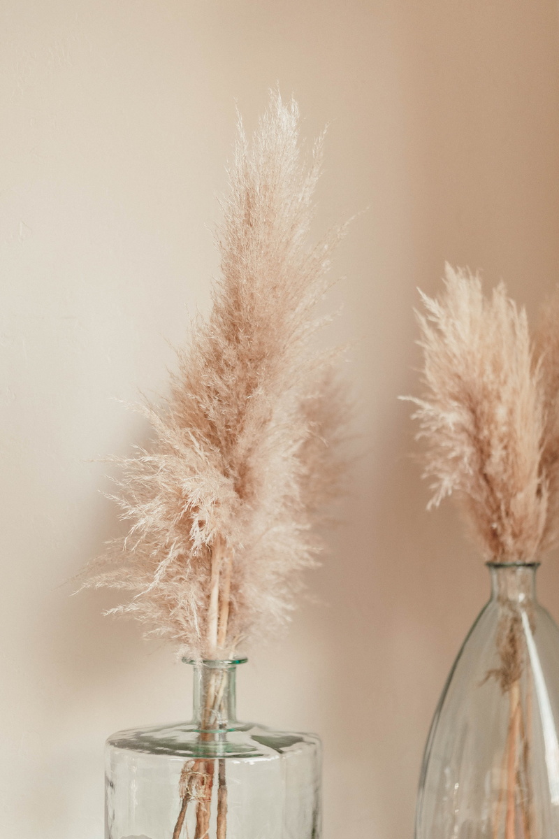 nature, 5K, no people, outdoors, vulnerability, table, reed, pottery, transparent, grass, couch, flower head, still life, lawn, two, flowering plant, freshness