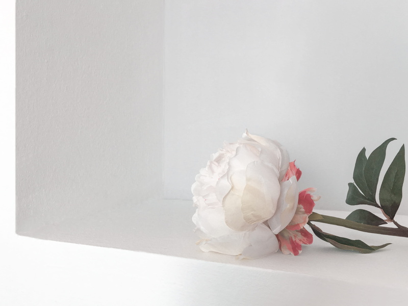 plant, detail, surface, rose - flower, bouquet, white color, vulnerability, botanical, wall, flower, white wall, nature, close-up, flower head, fragility