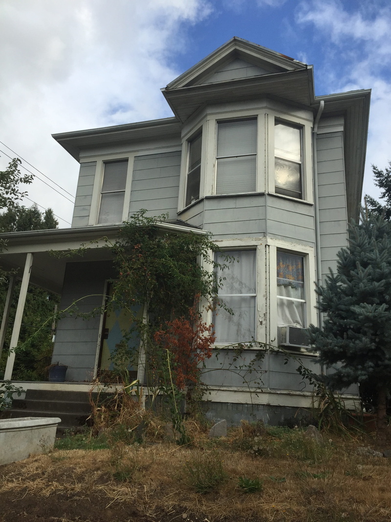 built structure, communication, residential district, building exterior, october, front or back yard, house, window, growth, plant, architecture, tree