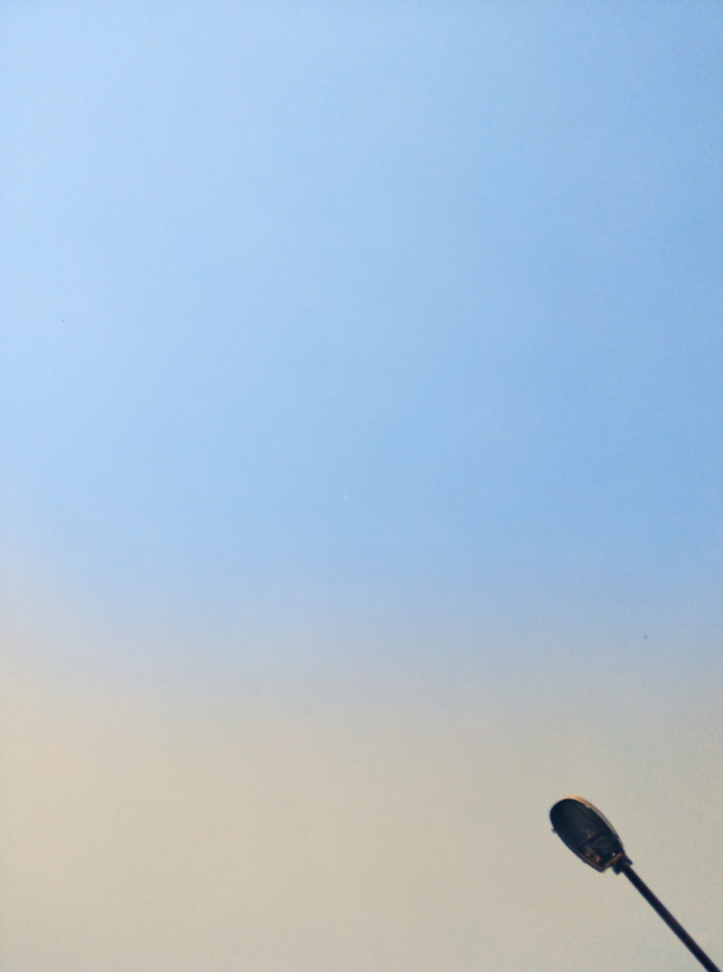 nature, street light, bird, day, nepal, serene, sunny, everest, beauty in nature, melamchi, outdoors, blue, lighting equipment, oneplus, kathmandu, animal themes