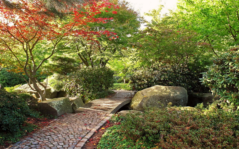 path, asia, park, flower, japanese Culture, nature, garden, japanese Garden, tranquility, tree, direction, leaf, footpath, tranquil Scene, leaves, summer