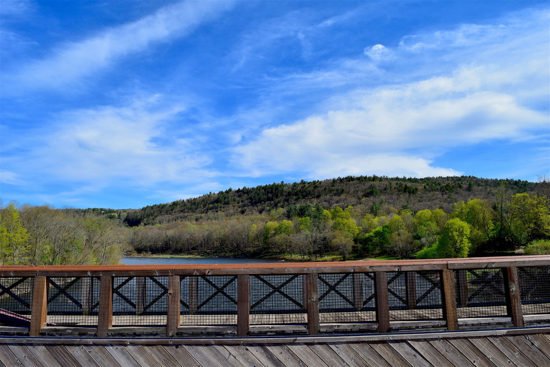 architecture, built structure, Blue, plant, Blue, connection, tranquility, river, no people, wooden, Sky, spring, scenics - nature, tree, bannister, landmark