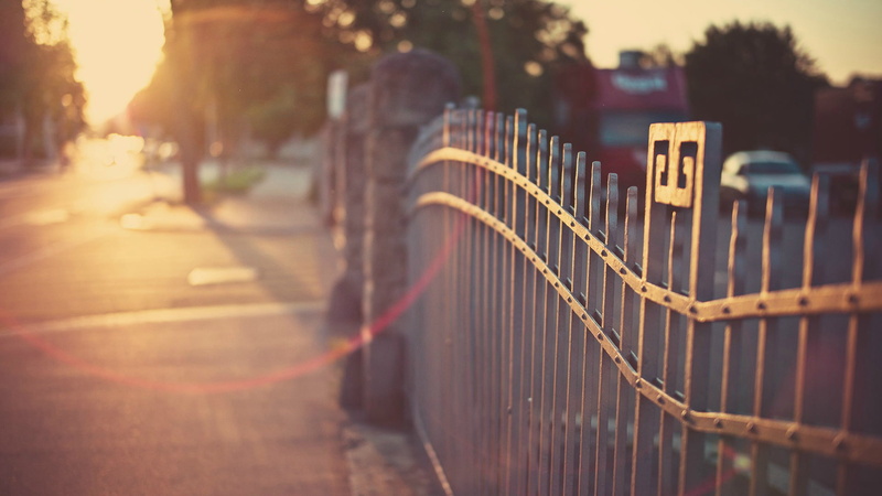 tree, step, no people, day, old, life, outdoors, absence, in a row, sunset, sunlight, sea, fence, city, architecture, focus on foreground, nature, building