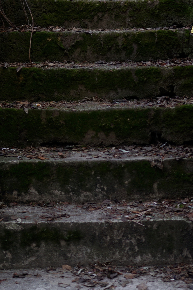 outdoors, stairs, gradually, pattern, backgrounds, weathered, nature, built structure, iron, concrete, stone, staircase, wall - building feature, no people