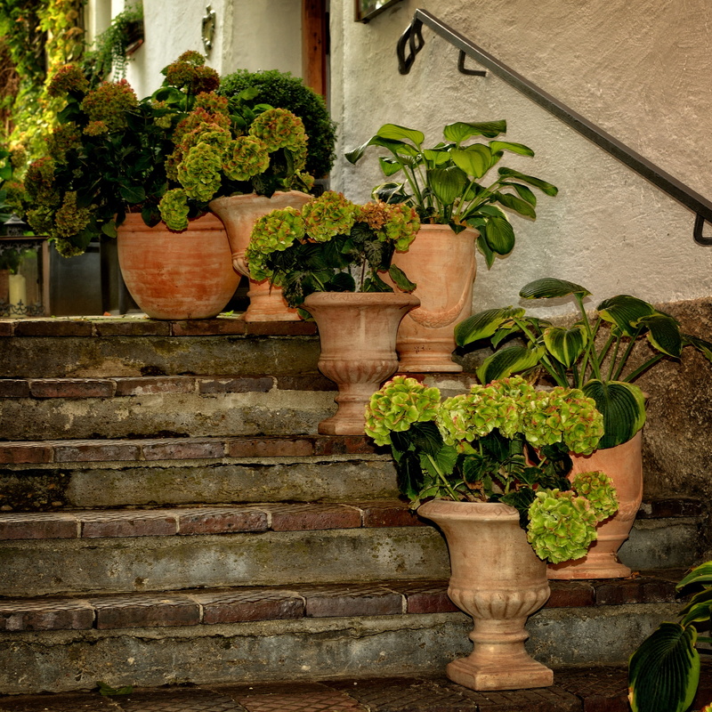 sound, green color, 2K, flower, architecture, external staircase, no people, green, bonsai tree, stair step, decoration, outdoors, nature, deco, gardening
