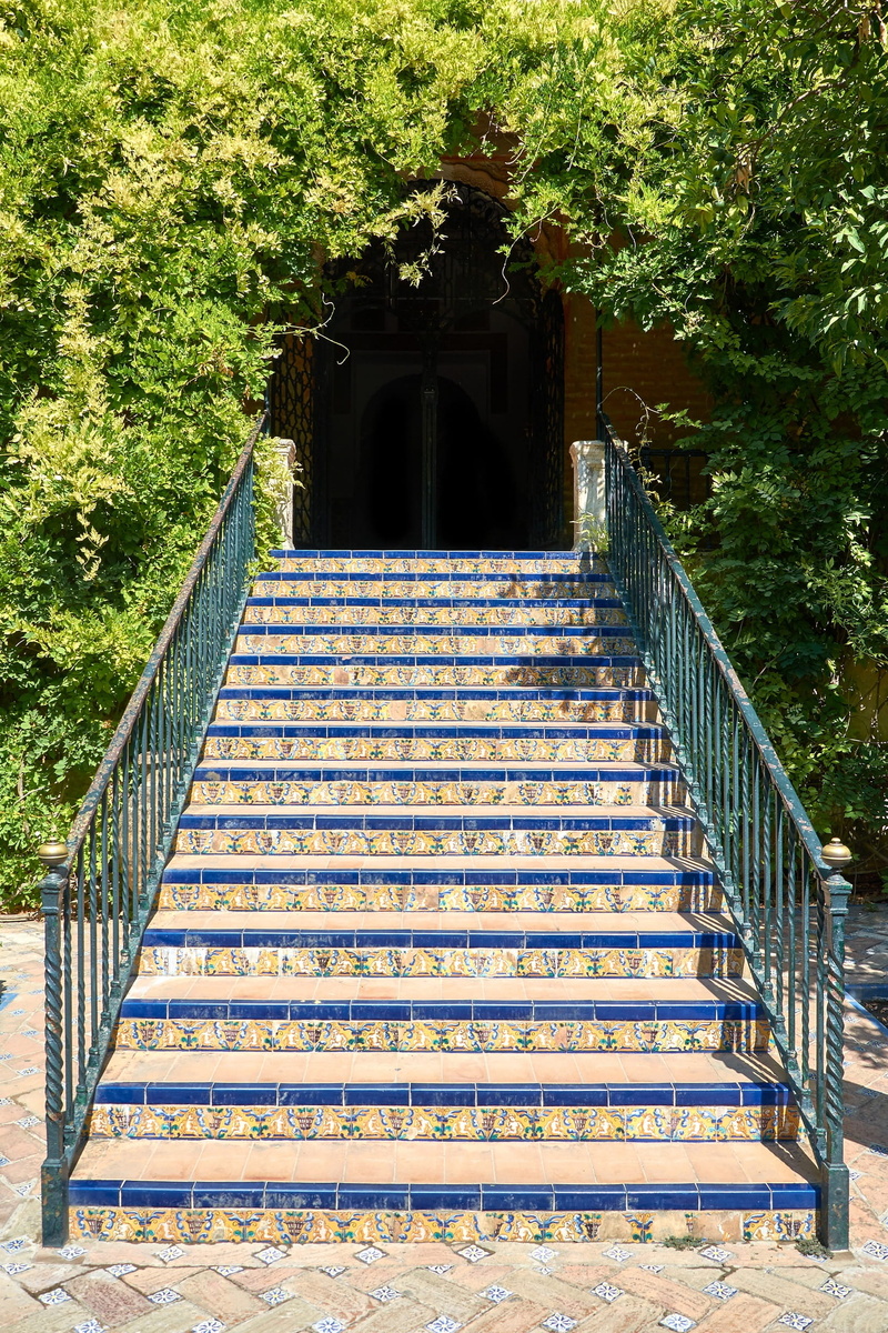 steps and staircases, darkness, treppengeländer, tiles, entrance door, unknown, climber, no people, fear, bush, hops, arch, built structure, despair, architecture