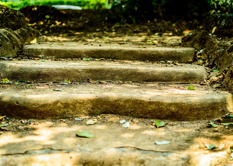 stone, historical, dried, footpath, field, historic, ancient, close-up, 4K, outdoors, india, tranquility, plant, nature, leaf, tree, old, ancient ruins