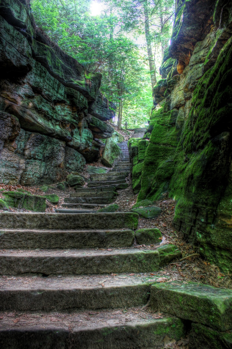 plant, staircase, architecture, no people, steps and staircases, land, stairs, tranquility, outdoor, landscape, solid, stone, day, low angle view, step